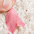 Chewing Gum stuck in carpet